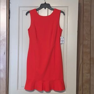 **BRAND NEW** Zara Dress